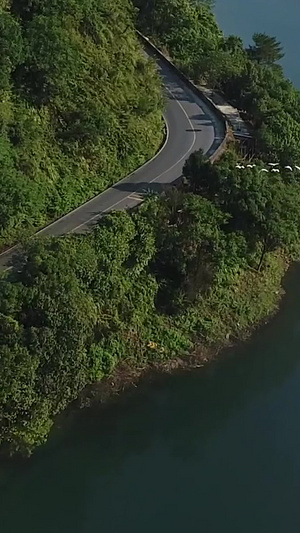 迁徙的白鹭群湖面跟拍无人机31秒视频