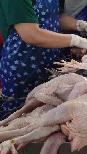 菜市场猪肉鸡肉合集29秒视频