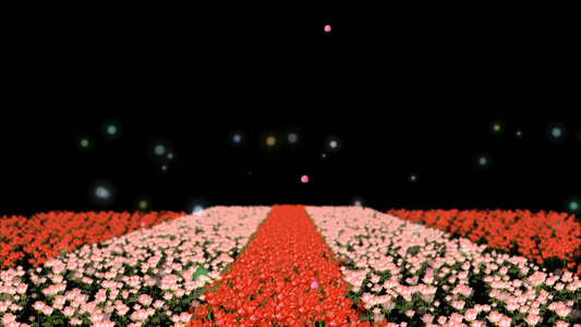 透明通道节日鲜花装饰视频