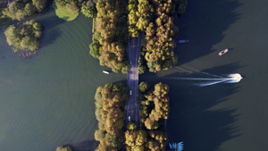 4K实拍秋天的杭州杨公堤风景10秒视频