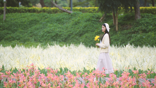 4K花海中漫步的少女视频