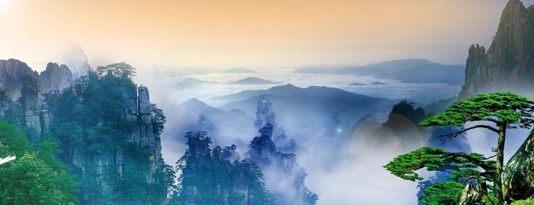 高山白鹤飞翔背景视频视频