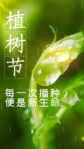 绿色环保植树节竖版海报视频视频