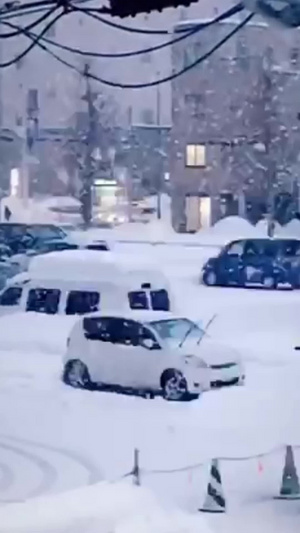 竖屏大雪纷飞鹅毛大雪10秒视频