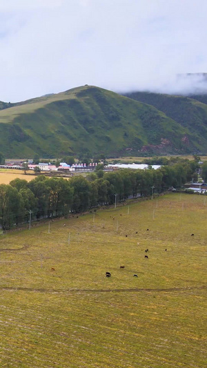 航拍中国西部高原乡村农业基地西部旅游76秒视频