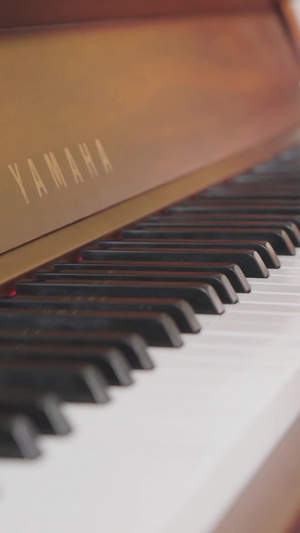 正在演奏的钢琴家亚洲人38秒视频