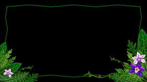 趣味植物生长边框动态素材20秒视频
