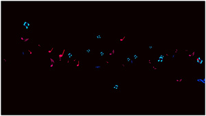 音符跳动素材20秒视频