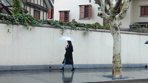 女人雨中撑伞漫步走在人行道上15秒视频