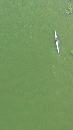 跟拍湖边皮划艇训练的运动员单人划艇17秒视频