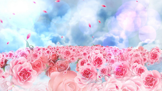 动态大气花朵花海云层飘动舞台背景视频元素视频