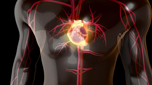 三维心脏疾病示意图3D人体医疗动态素材视频