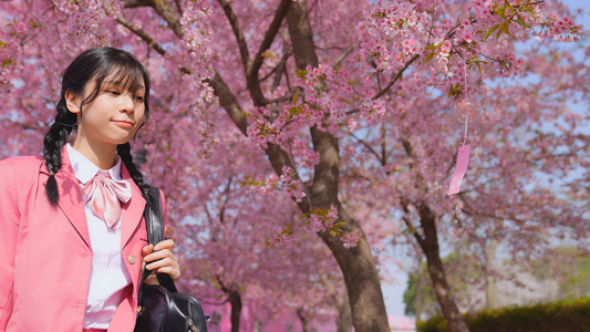 粉色JK制服的少女走在樱花树下视频