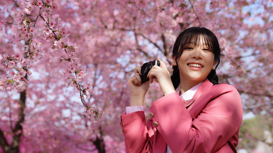 粉色JK制服的少女在樱花树下拍照视频