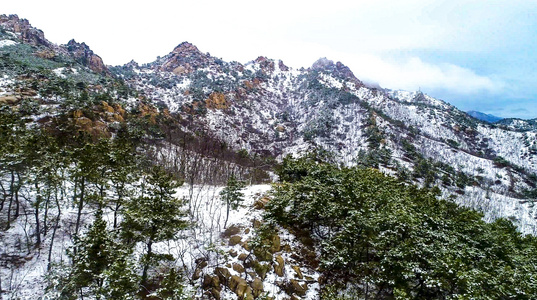 4K航拍青岛浮山森林公园被雪覆盖视频