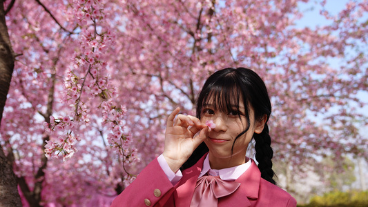 粉色JK制服的少女在樱花树下赏花视频