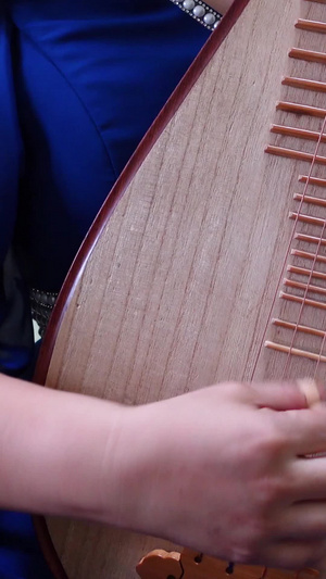 中国民族器乐琵琶古风国风演奏弹奏素材弹拨乐器67秒视频