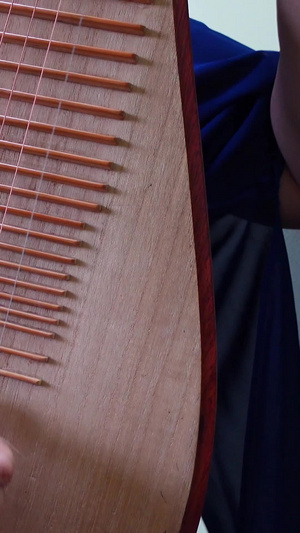 中国民族器乐琵琶古风国风演奏弹奏素材弹拨乐器67秒视频