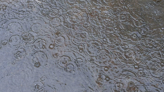 下雨天视频