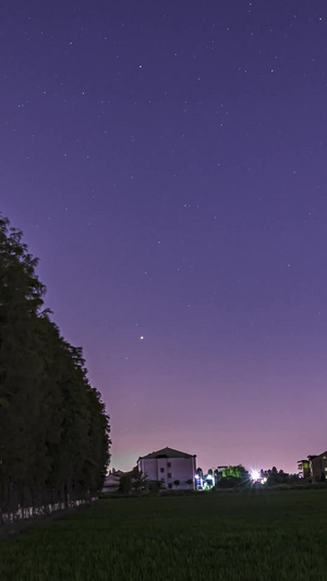 延时拍摄夜晚行道树旁的星空延时摄影15秒视频