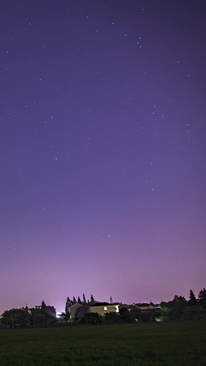 延时拍摄夜晚行道树旁的星空日月星辰15秒视频