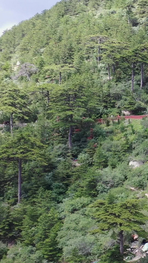 恒山寺庙群古建筑旅游景点33秒视频