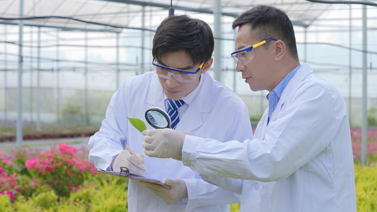 农业科技专家花圃里研究讨论视频