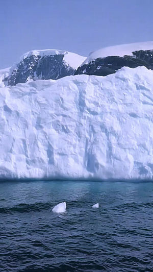 南极洲浮着的冰块南极旅游12秒视频