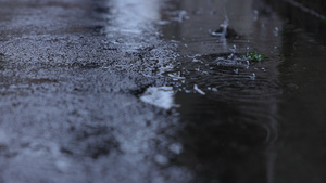 雨中路边水洼6秒视频