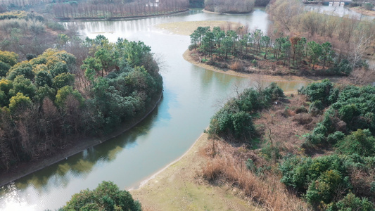 上海松江泖港湿地公园视频