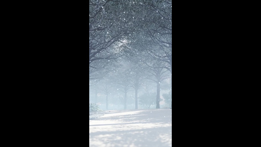 唯美冬天下雪背景视频
