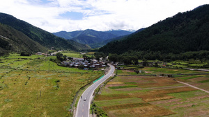 航拍麦田与山村村庄41秒视频