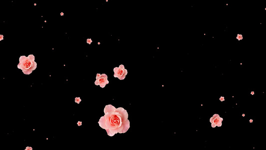 花朵掉落带通道视频