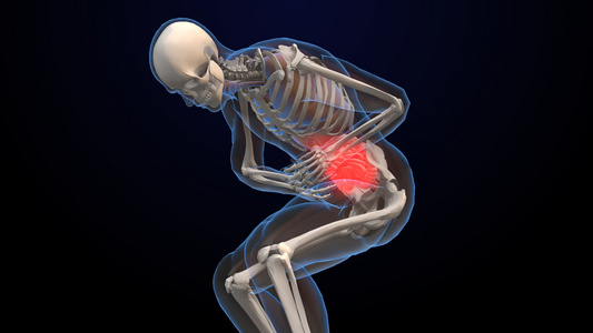 人体肠胃疼痛3D医疗解析视频