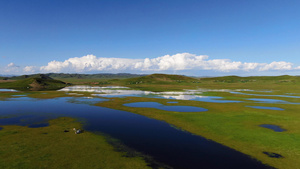 航拍自然生态湿地景观视频54秒视频