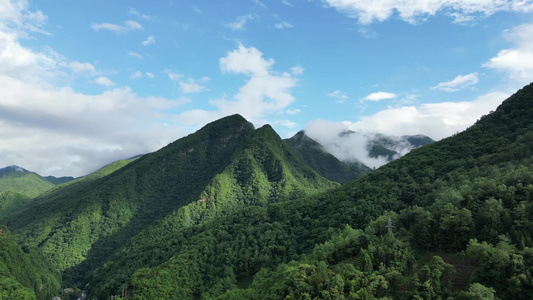 航拍大自然风光高山森林视频