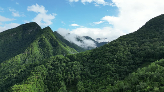 航拍大自然风光高山森林视频