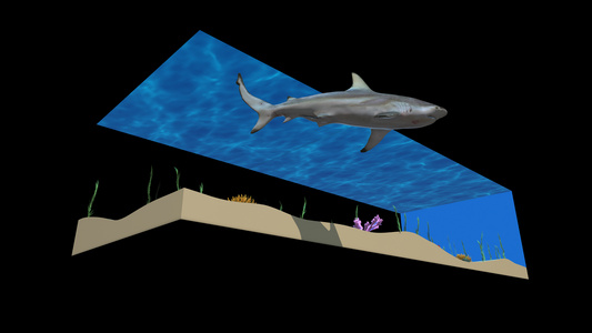 4K海底大鲨鱼裸眼3D效果视频