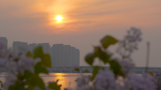 4k城市海边夕阳视频