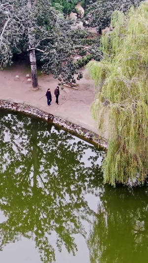 公园垂钓散步人文艺术9秒视频