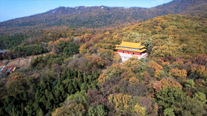 4K航拍南京钟山风景区明孝陵景区26秒视频