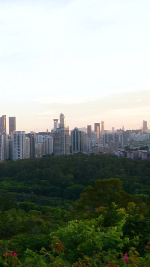 深圳莲花山公园山顶俯瞰建筑群高楼大厦31秒视频