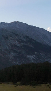 高山草甸雪山森林航拍雪山航拍视频