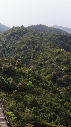 航拍5A景区福建太姥山玉湖游览区太姥娘娘广场视频旅游度假62秒视频