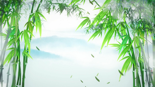 4K中国风竹林竹子背景视频视频