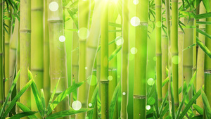 4K创意写实竹林穿梭竹子意境背景视频40秒视频