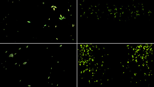一组绿叶粒子漂浮动画视频