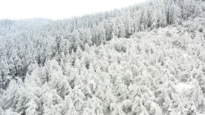 航拍仙女山景区冬季冰天雪地103秒视频