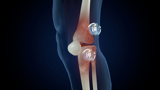 风湿骨痛关节痛药物治疗3D医疗解析视频