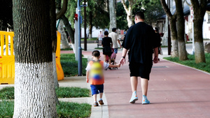 升格父子牵手走在街上亲子时光家庭陪伴接送孩子放学31秒视频